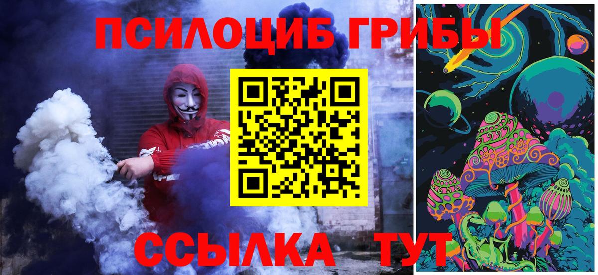 Галлюциногенные грибы GOLDEN TEACHER  Вход с VPN  Камышин  Галлюциногенные грибы Cubensis 