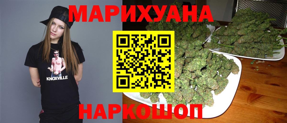 Конопля конопля Камышин